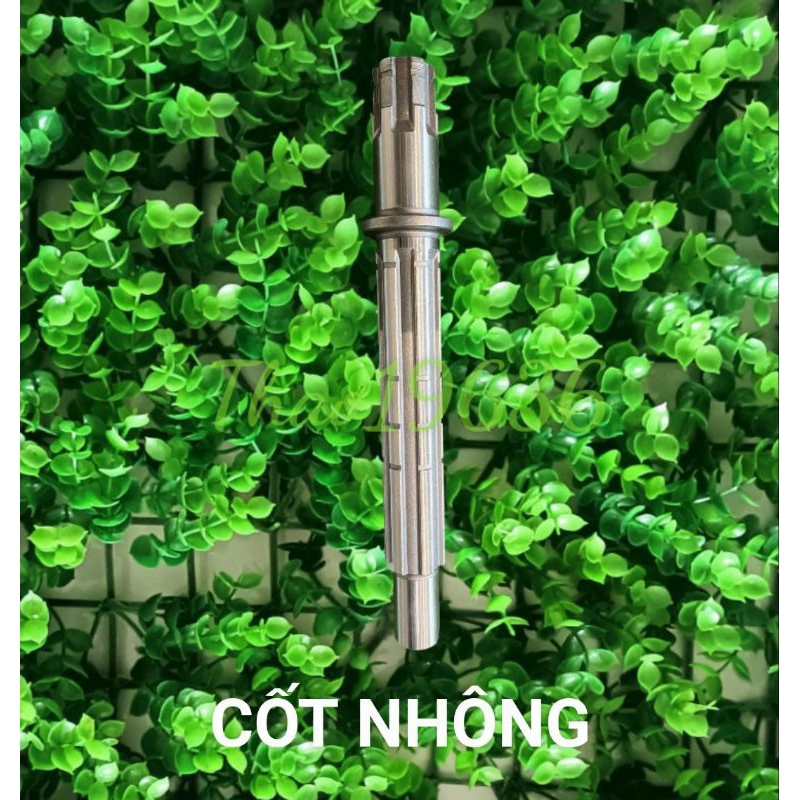 Cốt nhông Xipo