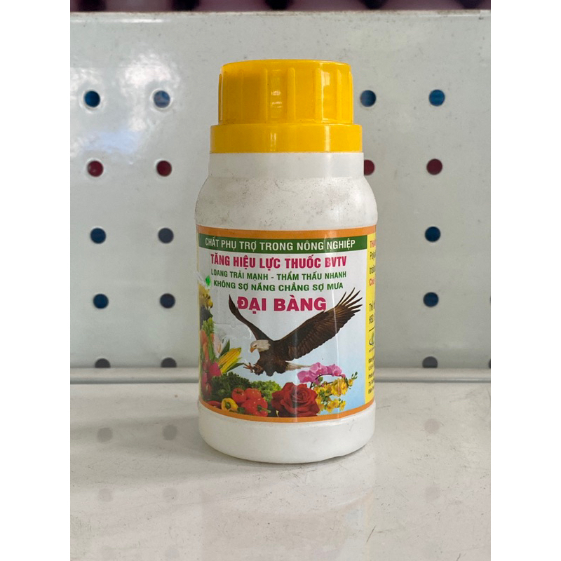 LƯU DẪN ĐẠI BÀNG