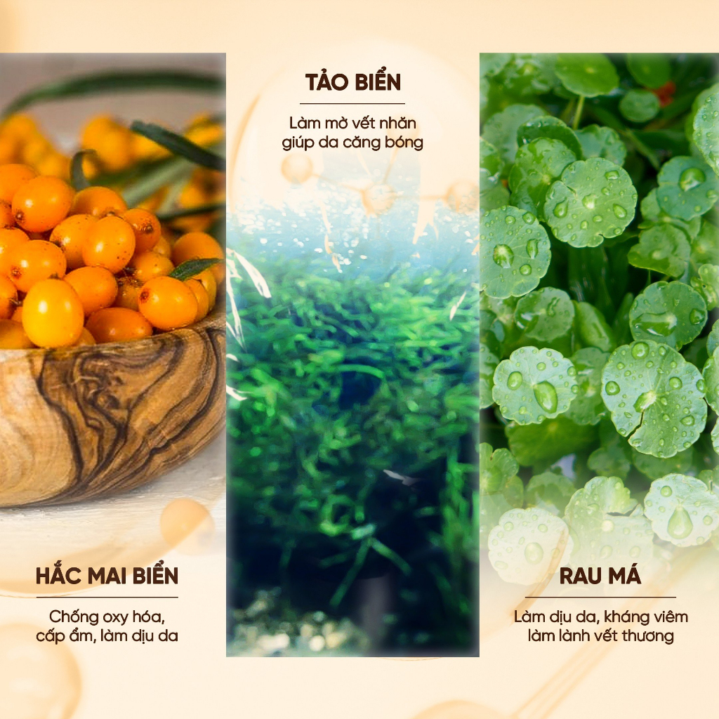Combo 2 Hộp Sữa Rửa Mặt dưỡng ẩm Luvis I'm Cleansing Hydrate 120ml