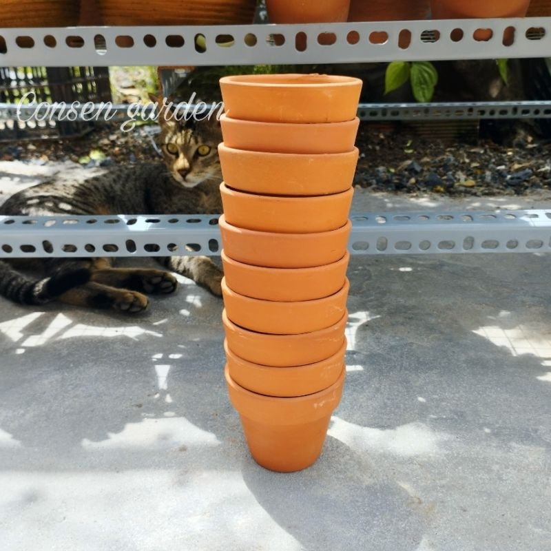 [Bao Bể Vỡ] COMBO 10 Chậu Đất Nung Trồng Sen Đá 8x7cm