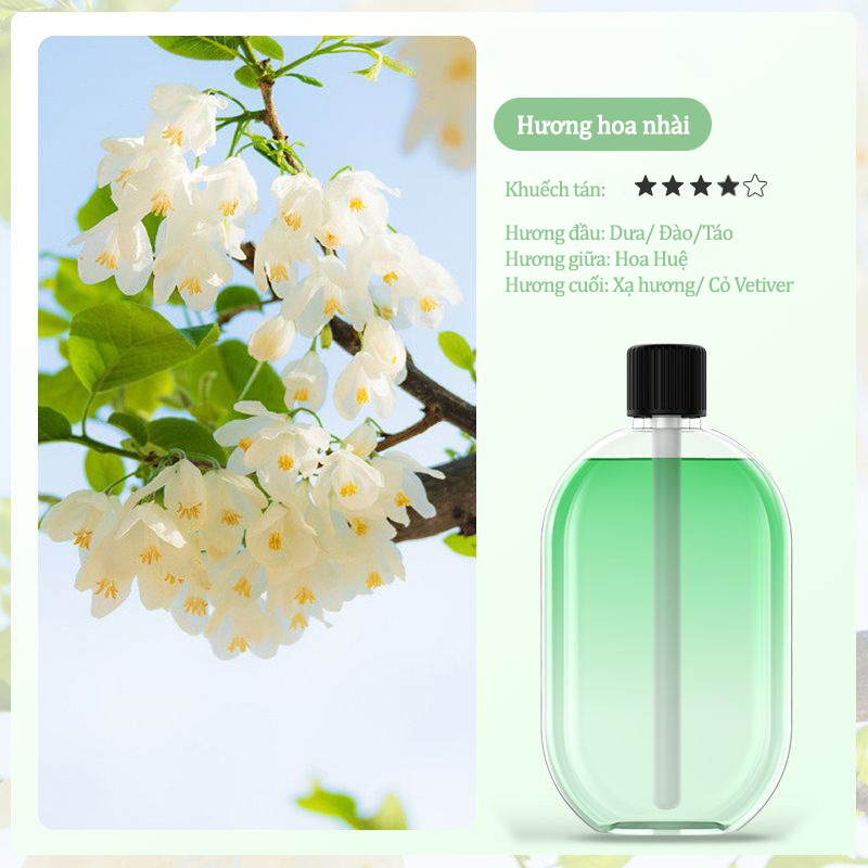 Tinh Dầu Nước Hoa Dùng Cho Máy Xịt Thơm Phòng - 5 Mùi Hương Tùy Chọn