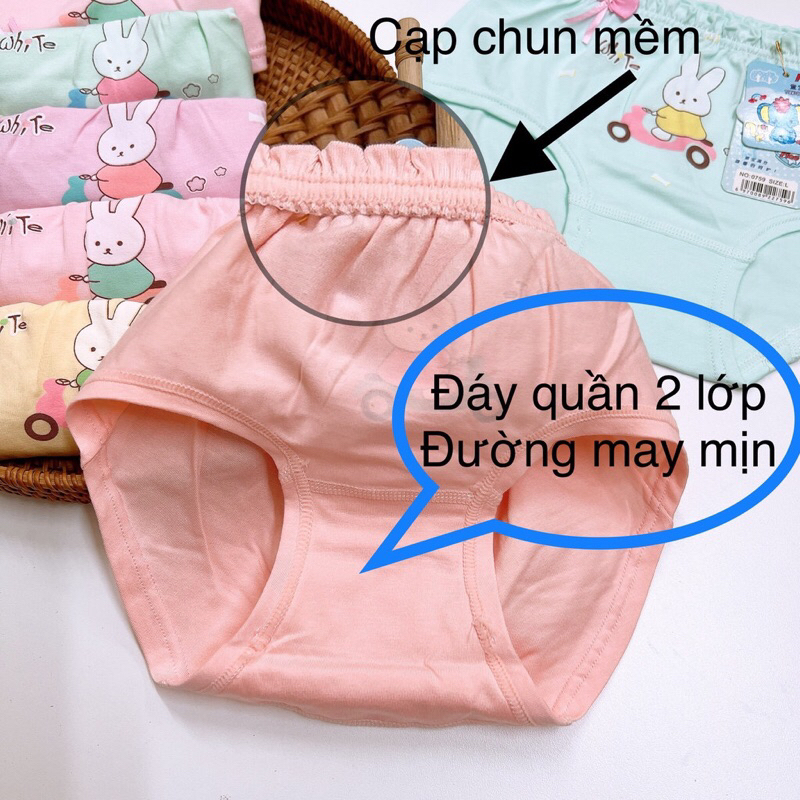 Quần chíp bé gái,  100% cotton co giãn đàn hồi tốt, thông thoáng thấm hút mồ hồi TE2