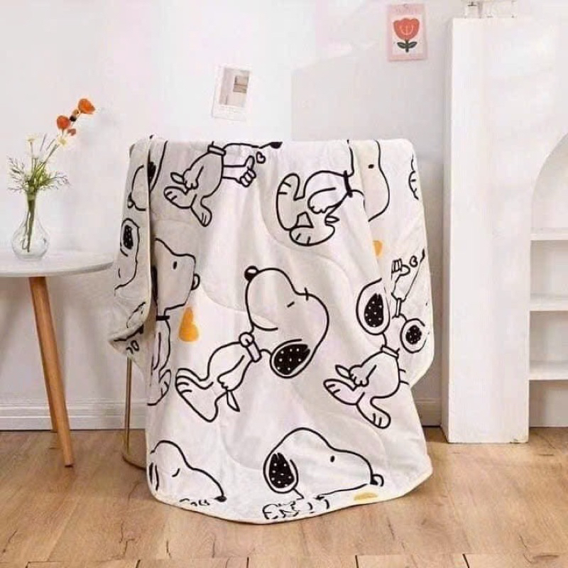 Chăn đũi cho bé đắp mùa hè thu, Chăn cho bé đi học 1m1x1m3, chăn đũi trẻ em poly 2 mặt hình có trần bông mỏng