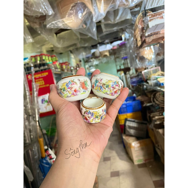 cóng tàu chào mào