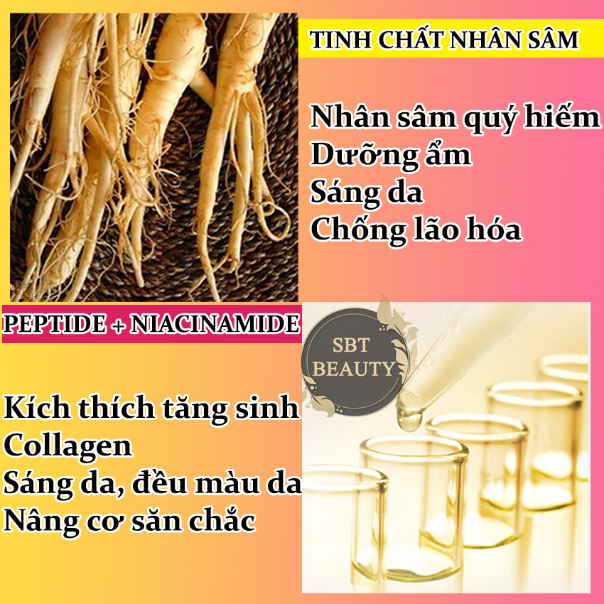 Tinh Chất Vàng Nhân Sâm Dưỡng Ẩm Làm Săn Chắc Da Cấp Nước, Kiểm Soát Dầu, Tẩy Tế Bào Chết Biaoquan 100ml