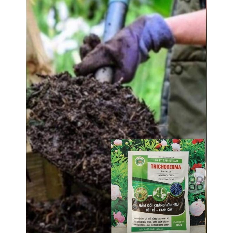 Nấm vi sinh trichoderma 20.000 bào tử