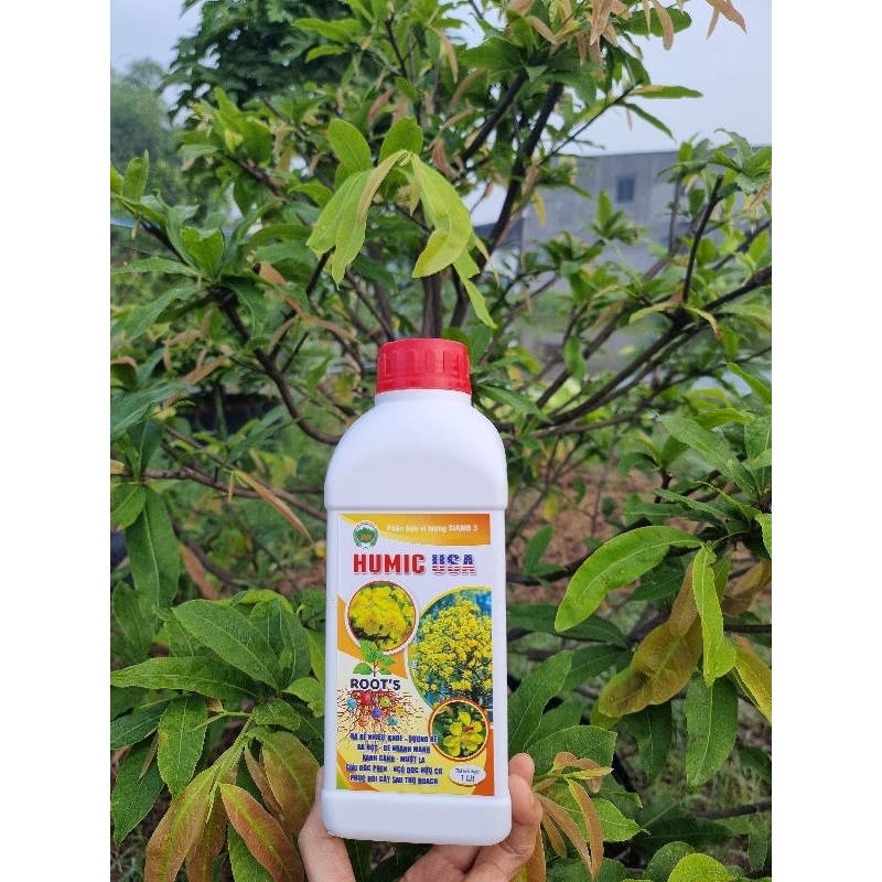 Humic Mỹ 1lit pha 800lit nước