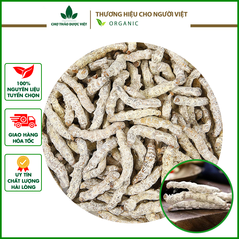 Bạch cương tằm 1kg, tằm vôi khô, trắng, nguyên con - Chợ Thảo Dược Việt