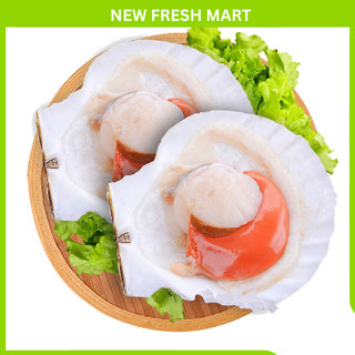 [GIAO NHANH HCM] Sò Điệp Nhật Nửa Mảnh Size Lớn đã làm sạch - Túi 1Kg (8-12 con)
