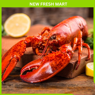 TÔM HÙM BABY CANADA HẤP 350 - 450Gr/Con [Giao nhanh HCM]