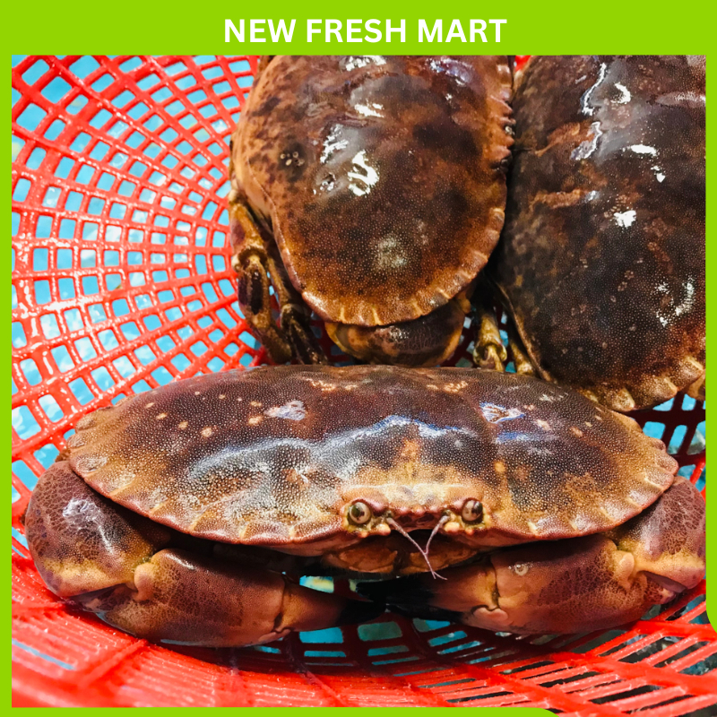 Cua Nâu Nauy Tem Xanh Đông Lạnh Size 300Gr-500Gr/con