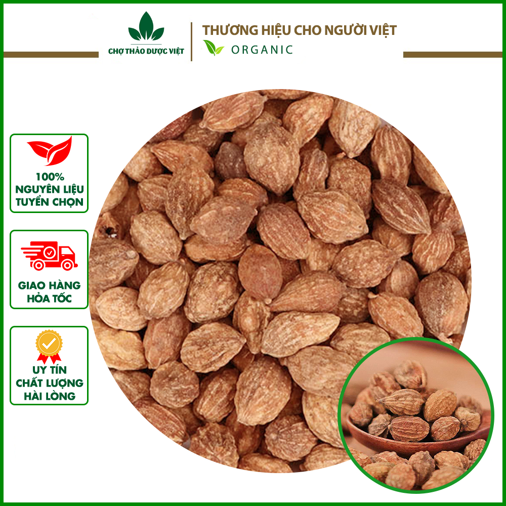 Ích trí nhân khô 1kg, hạt to, sạch, thơm, hỗ trợ bổ thận, giảm tiểu đêm, tốt cho đường tiết niệu