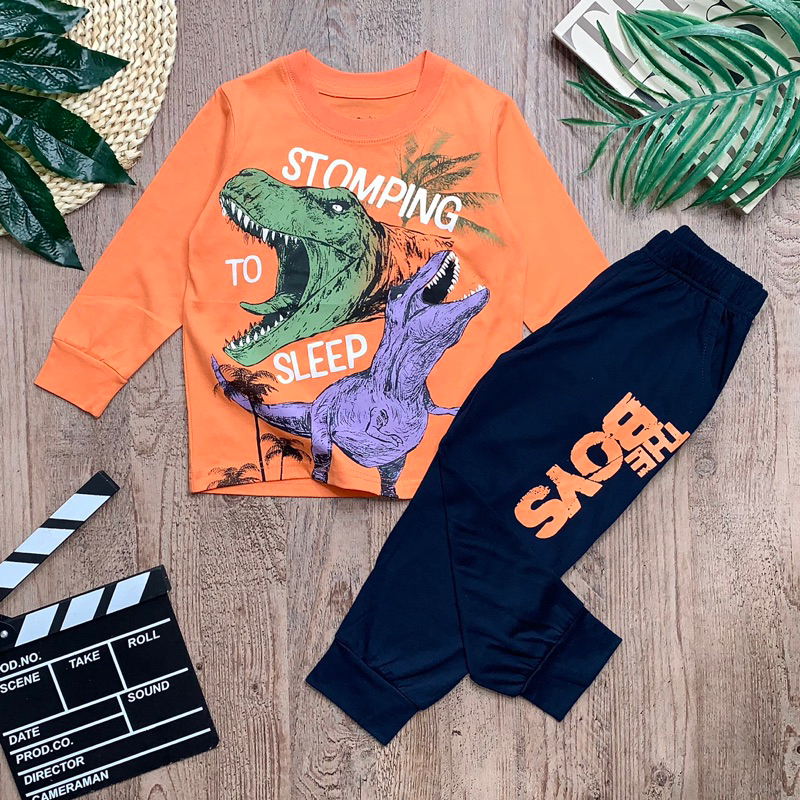 Bộ Thun Tay Dài Skite Boy