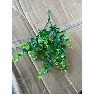 Cụm điểm táo tai chuột