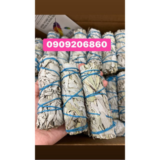 White sage, xô trắng, sage trắng, xô thơm trắng 10cm