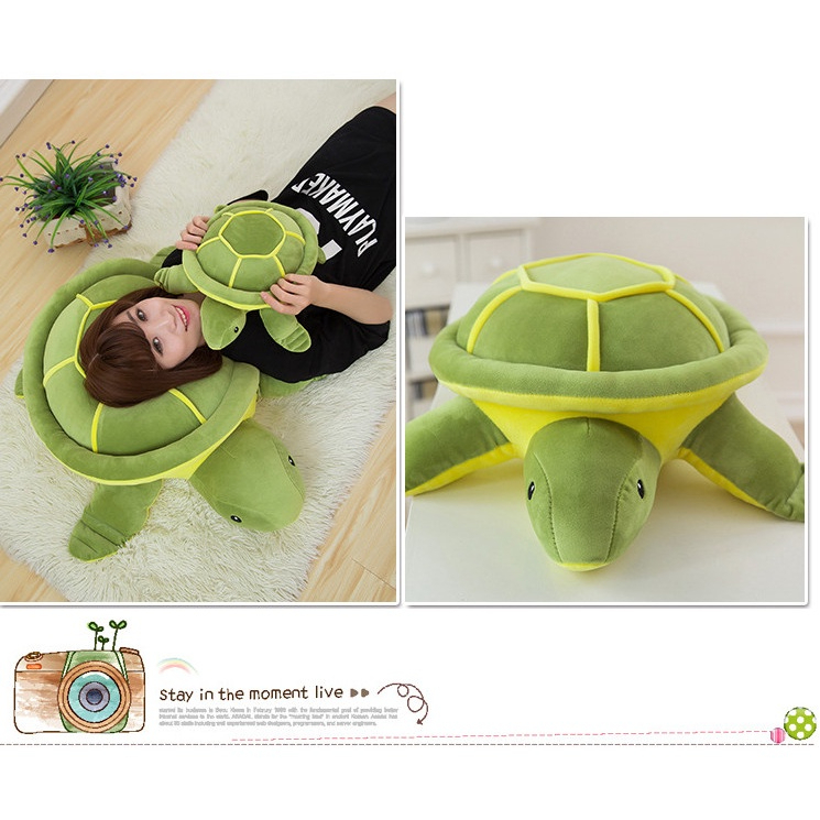 Gấu Bông Con Rùa Xanh Dễ Thương Thú Nhồi Bông Hình Con Rùa Xanh Đáng Yêu Ôm Chơi Ngủ An Toàn 37CM