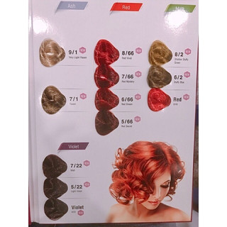 Thuốc Nhuộm Tóc Chibas Đủ 49 màu