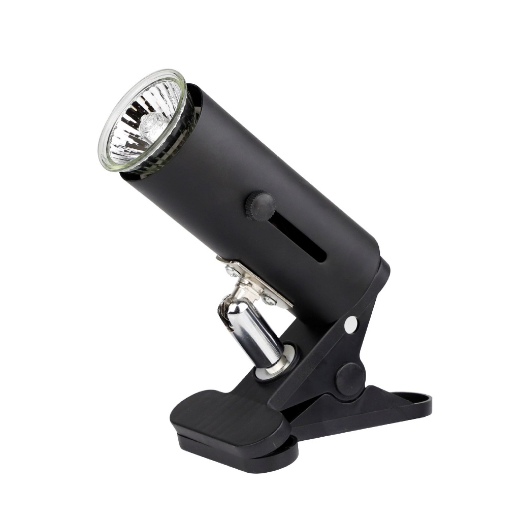 Đèn rọi cho rùa , cá cảnh