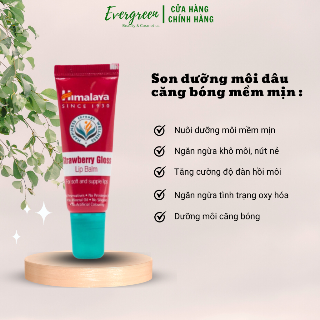 Son dưỡng môi căng bóng vị dâu tây Himalaya Strawberry Gloss Lip Balm 10g - Evergreen