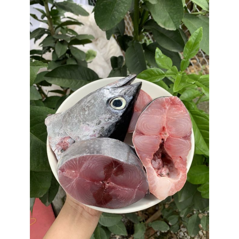 COMBO 10 HỦ PATE TƯƠI 100G KHÔNG GAN CÓ SẲN