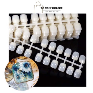 Móng tập vẽ,sét vỉ 240 móng,móng bảng vuông