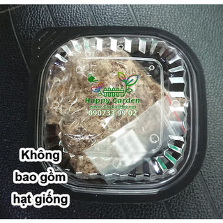 Hộp gieo hạt cây bẫy kẹp, cây nắp ấm, Cây bắt mồi, hộp chuyên dụng bảo vệ hạt khỏi mưa, côn trùng ăn hạt giữ ẩm cực tốt