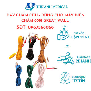 Dây châm cứu 2 kim - dùng cho máy điện châm 808i great wall