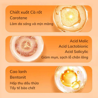 MẶT NẠ SỦI  BỌT THẢI ĐỘC CÀ RỐT ( hộp 12 gói )