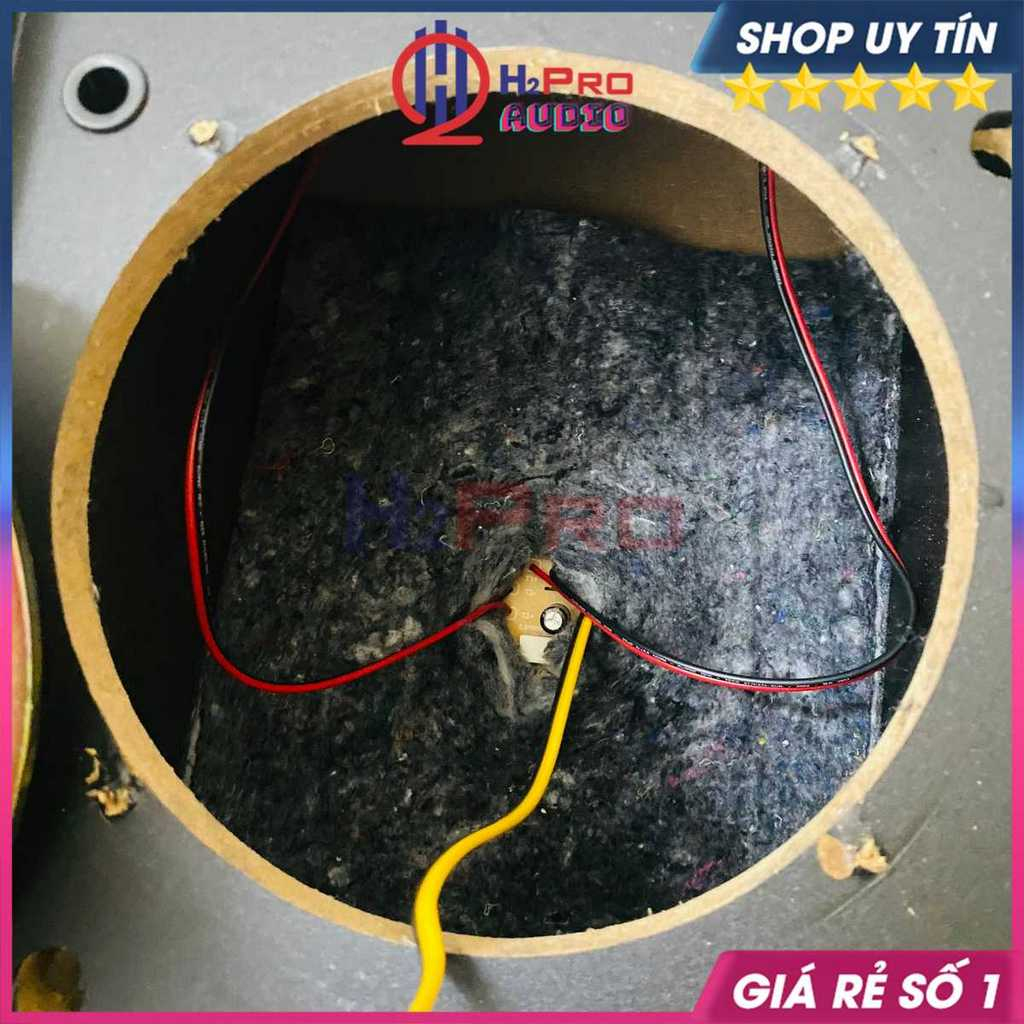 Đôi Loa Bo.se 301 Seri 3 Hongkong Bass 20 300W Nghe Nhạc, Hát Karaoke Gia Đình, Phòng Trà, Quán Cafe Cực Hay-H2Pro Audio