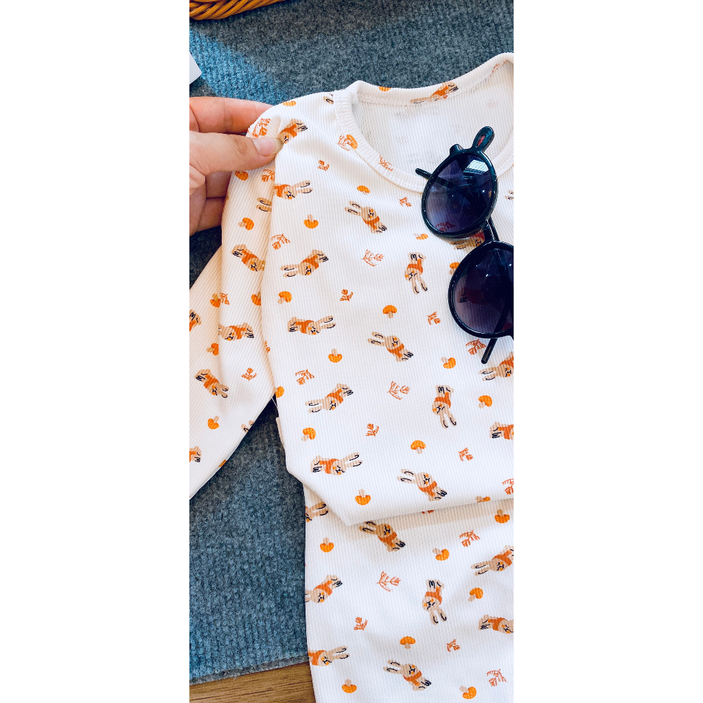 Bộ dài tay thu đông cho bé chất len tăm cực chất