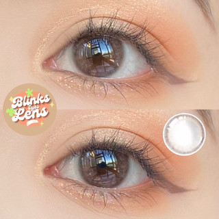 Kính Áp Tròng Lens Mắt YOUNGONE Jeunesse Gray Mix Brown BLINKS EYES 14mm Màu Xám Nâu Cho Mắt Cận 0-8 Độ Dùng 6 Tháng