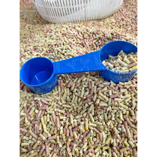 Muỗng xúc thức ăn định lượng gram cho gà đá.