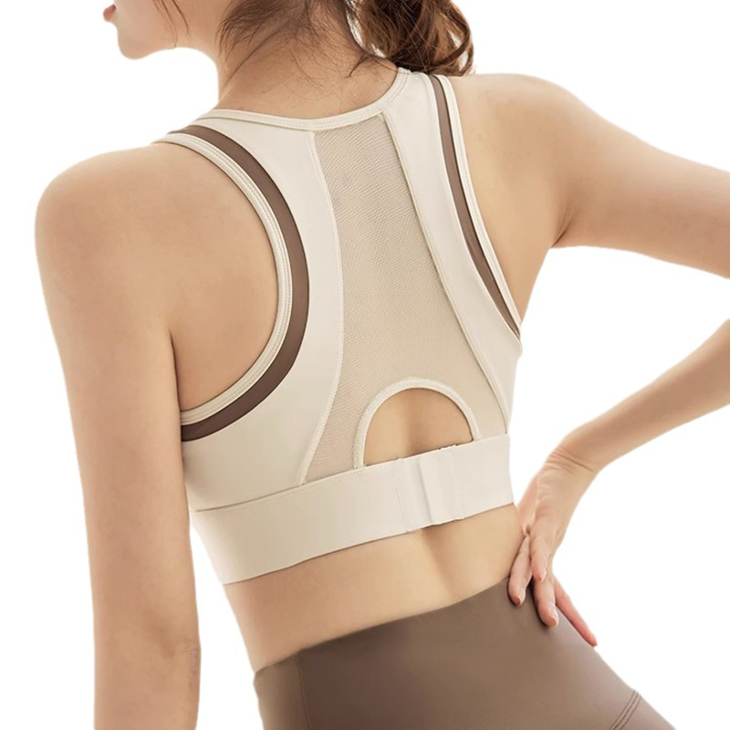 Áo ngực thể thao Tập Gym Yoga LULY SPORT chất thun lạnh co giãn tốt,mút đúc liền phối màu xinh