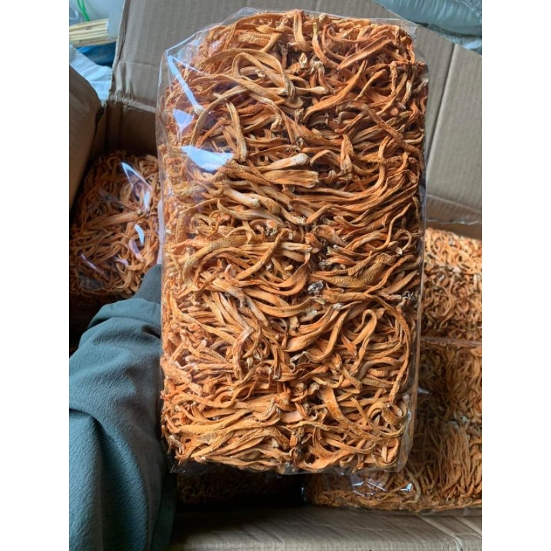 ĐÔNG TRÙNG HẠ THẢO KHÔ túi 100g