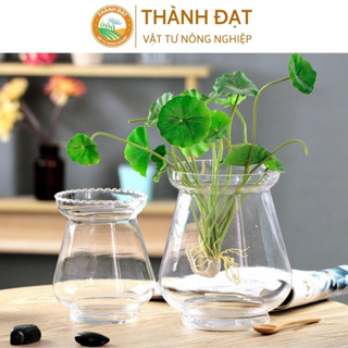 Bình thuỷ tinh cao cấp  miệng loe kèm giá đỡ trồng cây thuỷ sinh, cắm hoa, nuôi cá