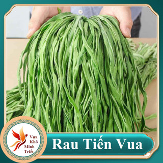 RAU TIẾN VUA XANH GIÒN LOẠI 1- VỰA KHÔ MINH TRIẾT