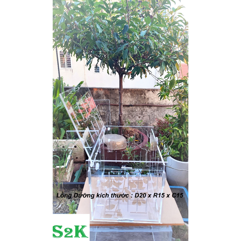 Lồng dưỡng Acrylic:  30x20x20/ 20x15x15/ 15x10x10 Lồng dưỡng cá mica siêu nhẹ, siêu trong...dưỡng cá, tép