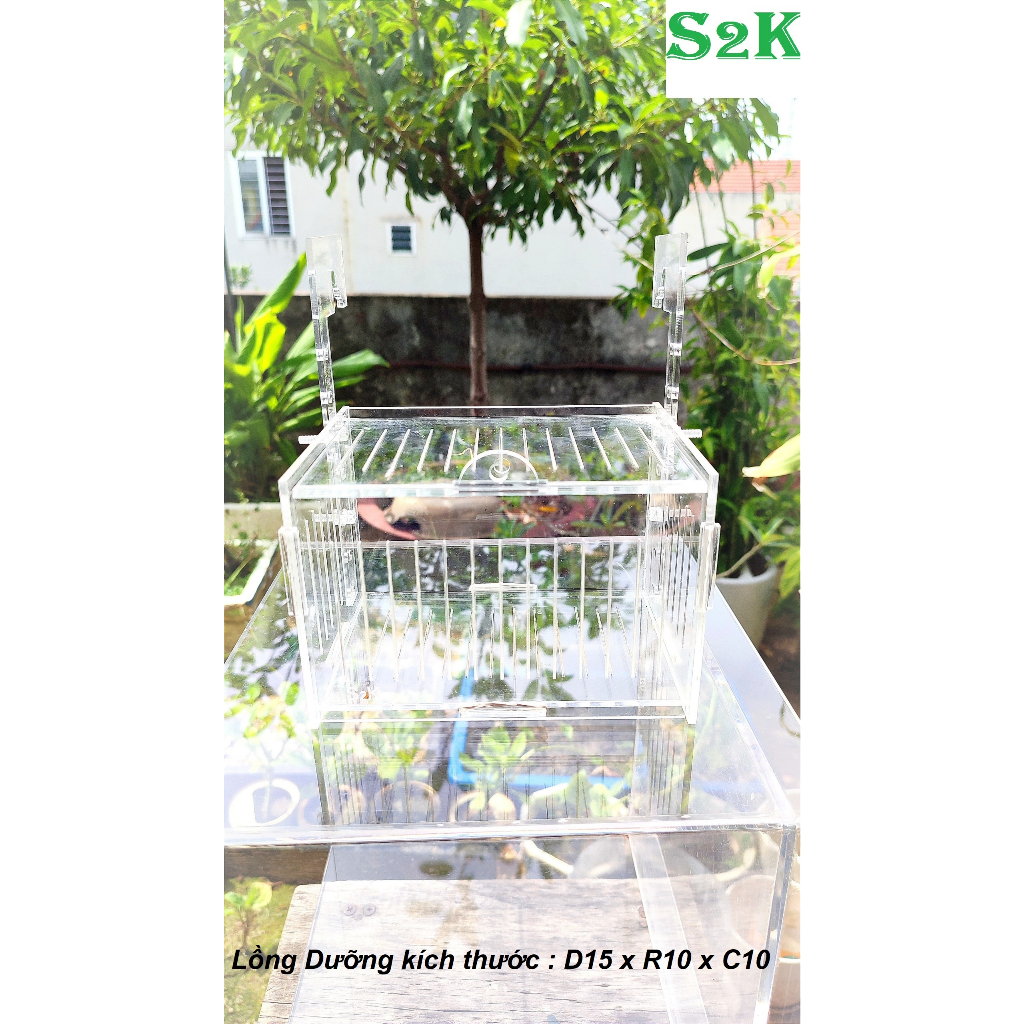 Lồng dưỡng Acrylic:  30x20x20/ 20x15x15/ 15x10x10 Lồng dưỡng cá mica siêu nhẹ, siêu trong...dưỡng cá, tép