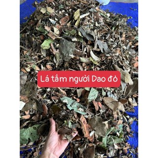 [CHUẨN XỊN ]LÁ TẮM NGƯỜI DAO ĐỎ SÌN HỒ LAI CHÂU
