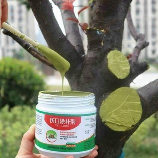 Keo liền sẹo cho cây nội địa Trung Quốc