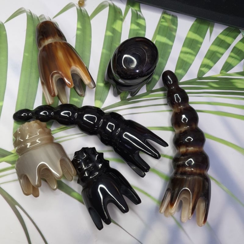 Bạch tuộc massage sừng