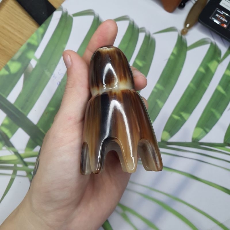 Bạch tuộc massage sừng