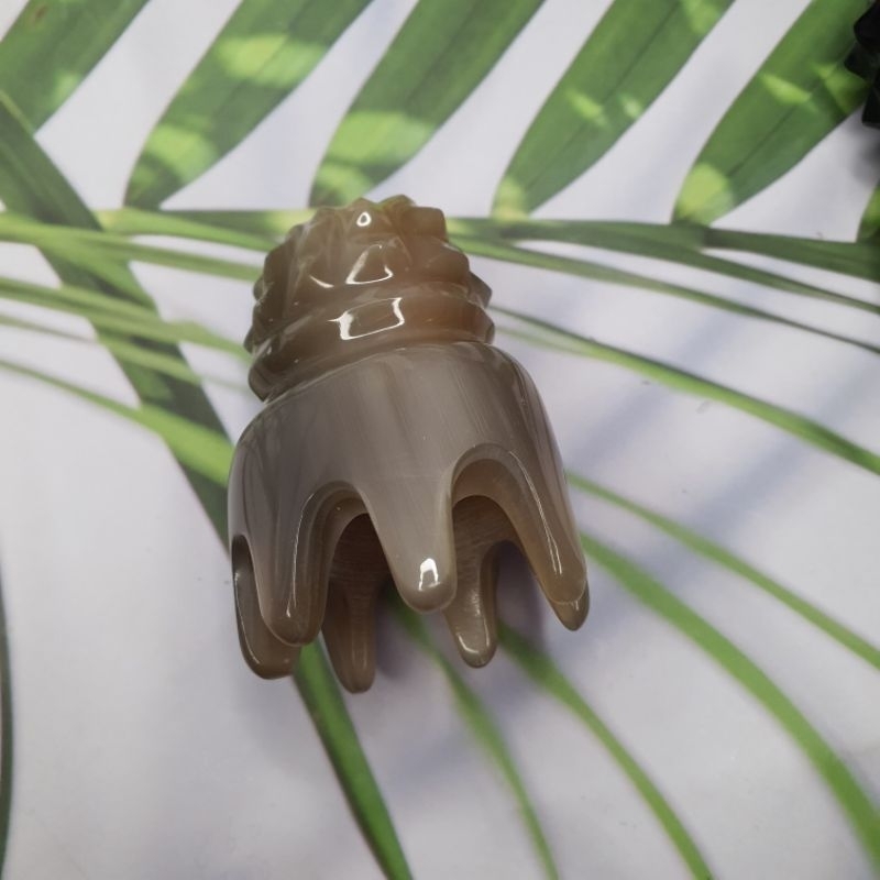 Bạch tuộc massage sừng