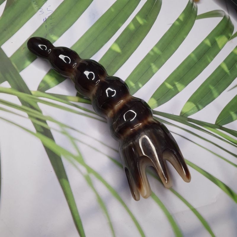 Bạch tuộc massage sừng