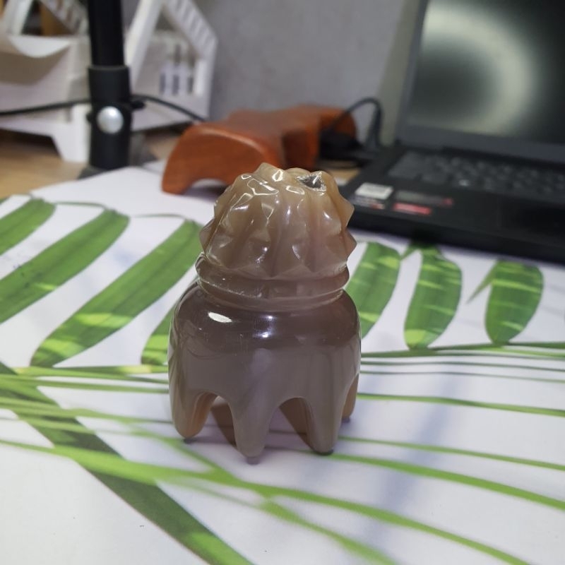 Bạch tuộc massage sừng