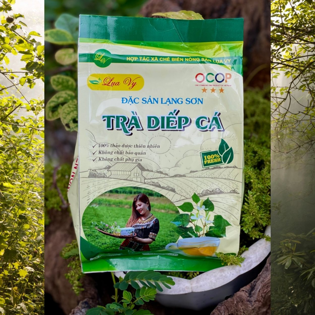 Trà Diếp Cá thải độc Lụa Vy ( Gói 40 Túi lọc)