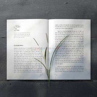 Sách Hiểu Về Trái Tim - Minh Niệm
