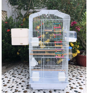 Chuồng Lồng nuôi vẹt dành cho vẹt nhỏ và vừa như lovebird , cockatiel , greencheek , sun , ngực hồng , monk ....