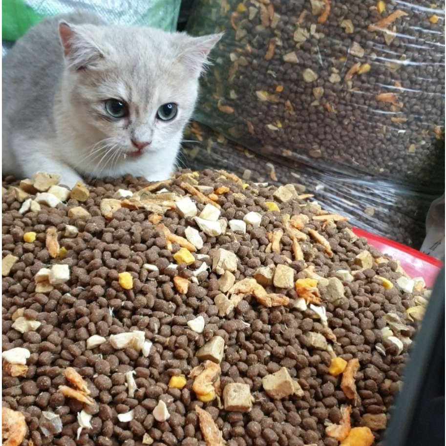 Thức ăn hạt GV trộn siêu cấp cho mèo - Mix 9 loại thịt sấy