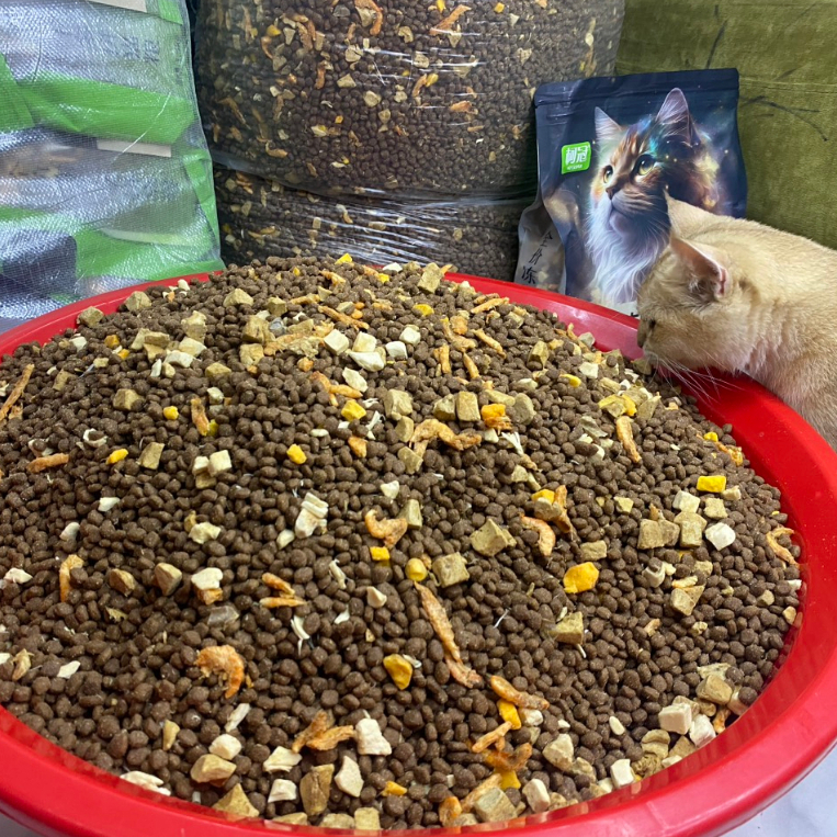 Thức ăn hạt GV trộn siêu cấp cho mèo - Mix 9 loại thịt sấy